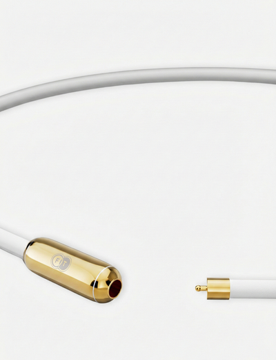 FT™︎ TUNING NECKLACE TITANIUM（チューニングネックレス・チタニウム）