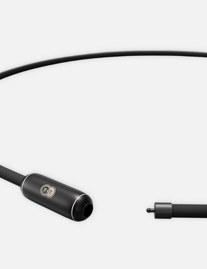 FT™︎ TUNING NECKLACE TITANIUM（チューニングネックレス・チタニウム）