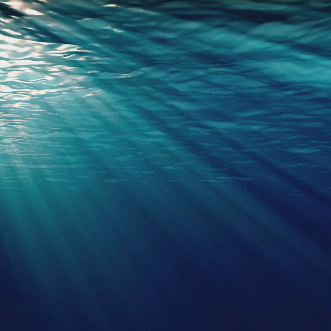 動画を読み込む