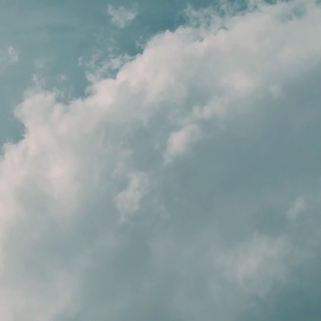 動画を読み込む